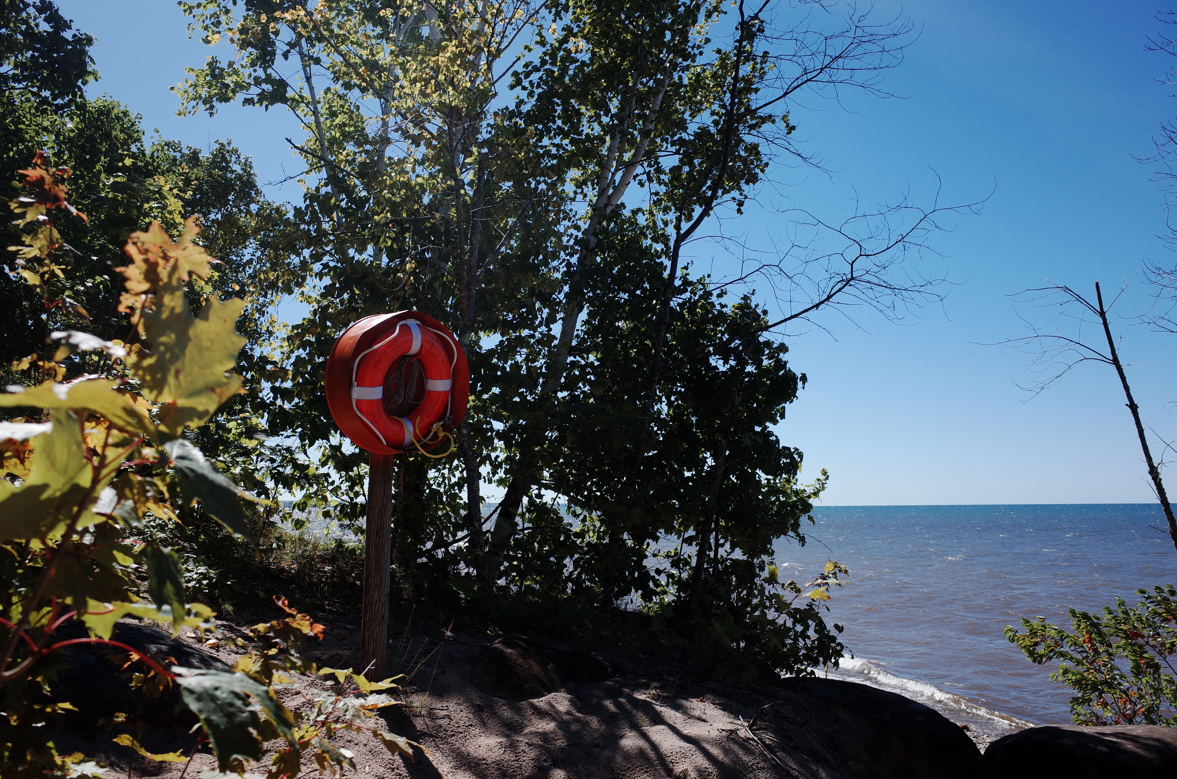 Life preserver by the lake