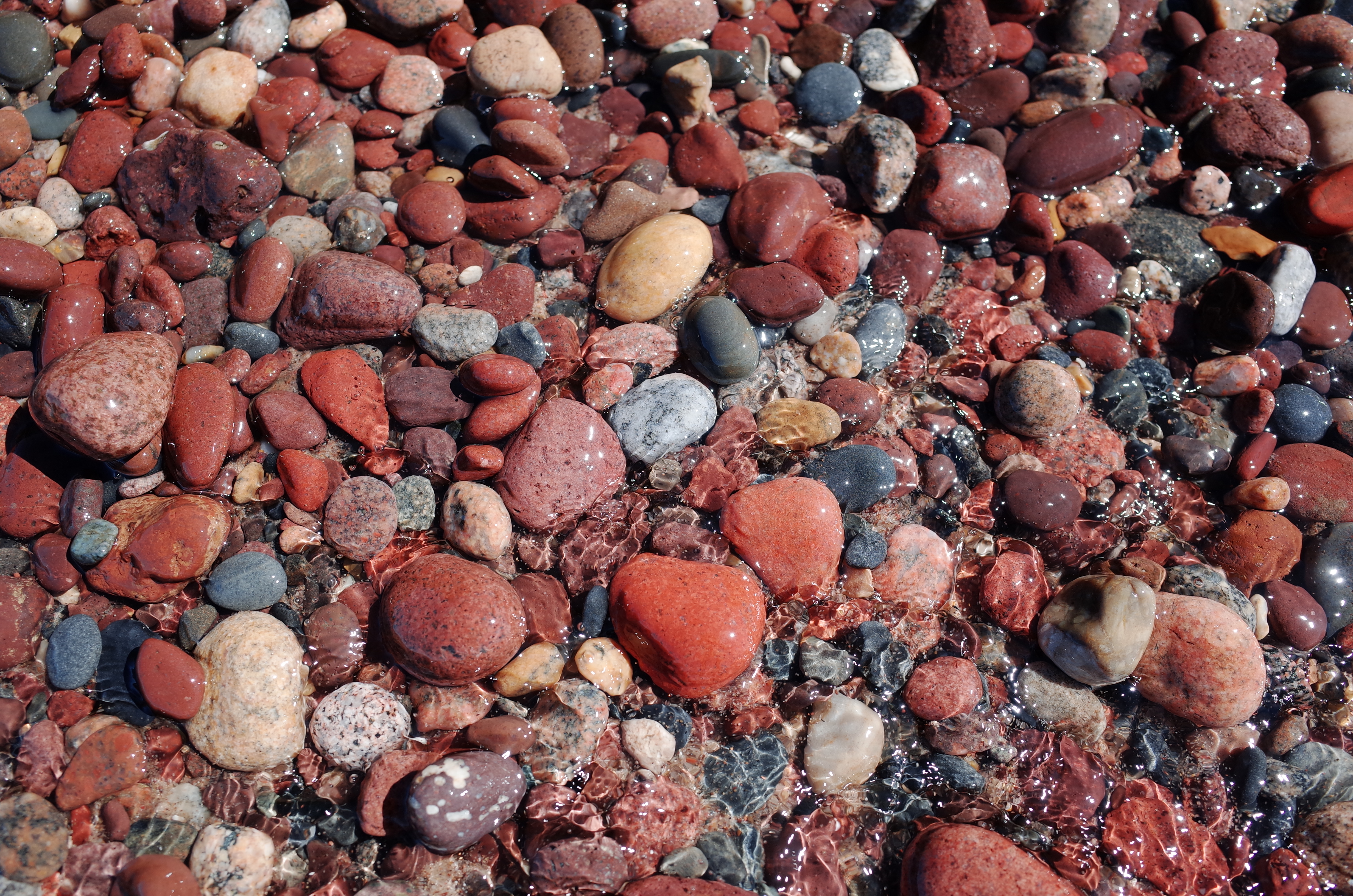 Wet red rocks on the shoreline